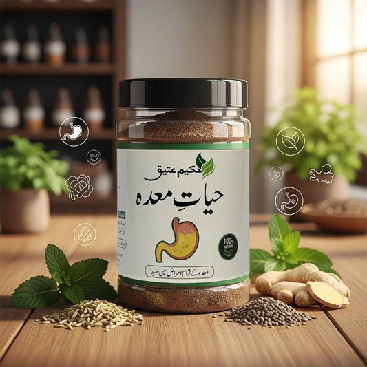 Hayat-e-Maidha – Herbal Digestive Tonic for Stomach Health & Appetite Balance